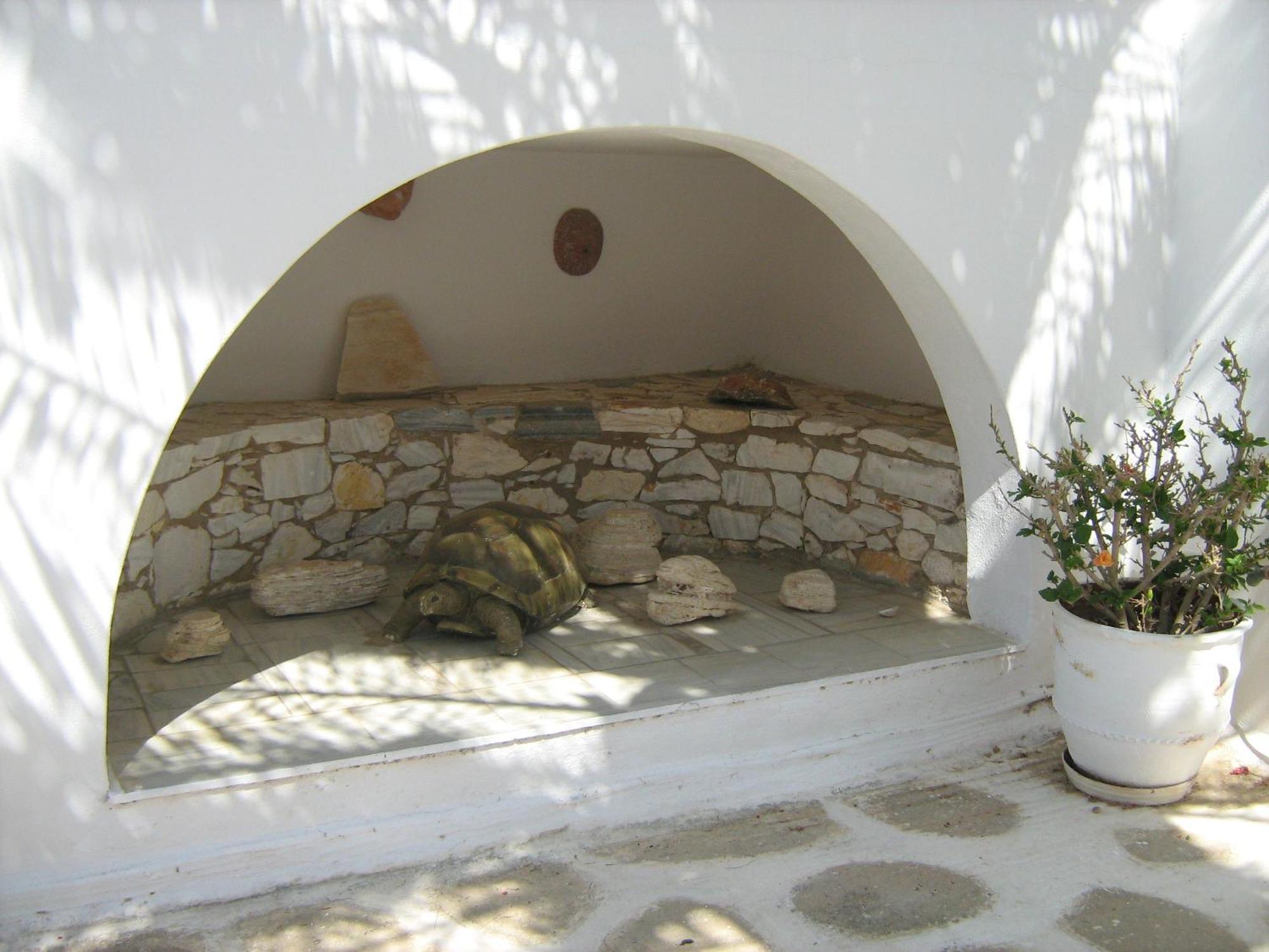Appartement Nicos & Logaras