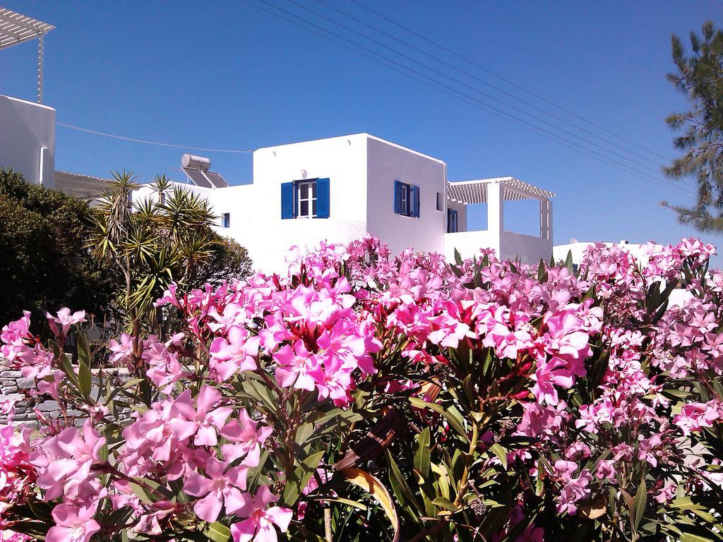 Apartmán Nicos & *