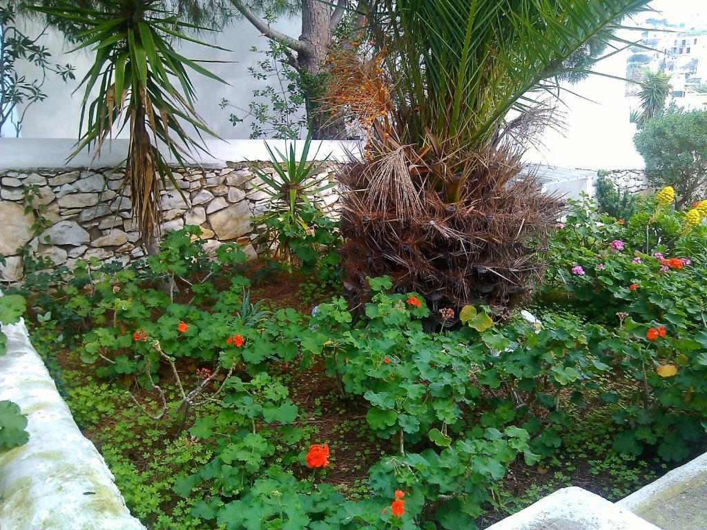 Appartement Nicos &